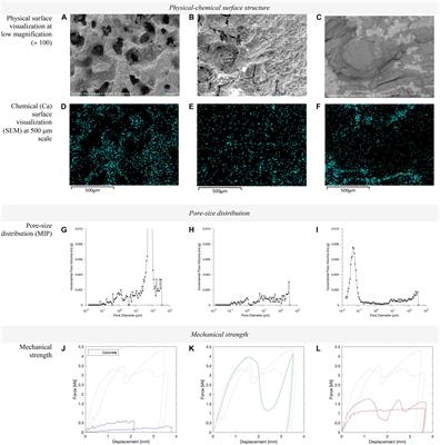 Innovative Material Can Mimic Coral and Boulder Reefs Properties